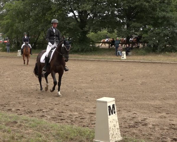 Reitturnier Thönse 2023