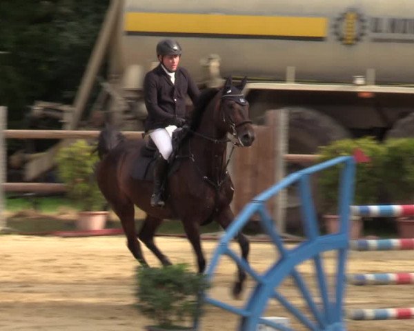 Reitturnier Viersen-Dülken 2023