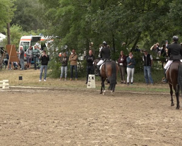 Reitturnier Thönse 2023
