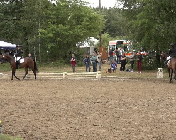Reitturnier Thönse 2023