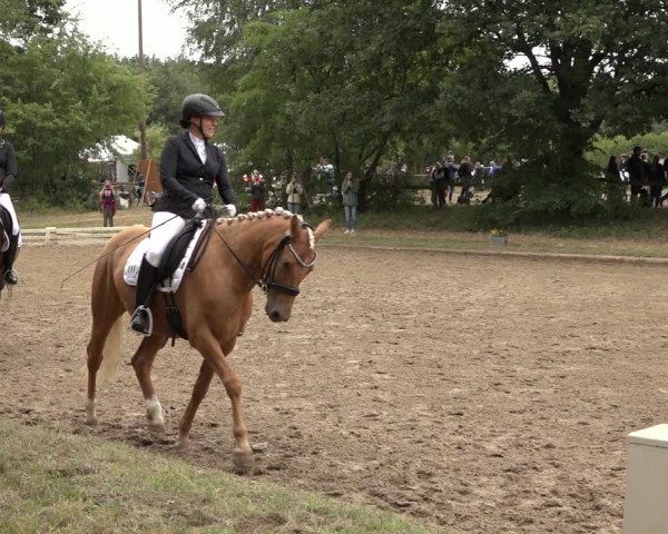 Reitturnier Thönse 2023