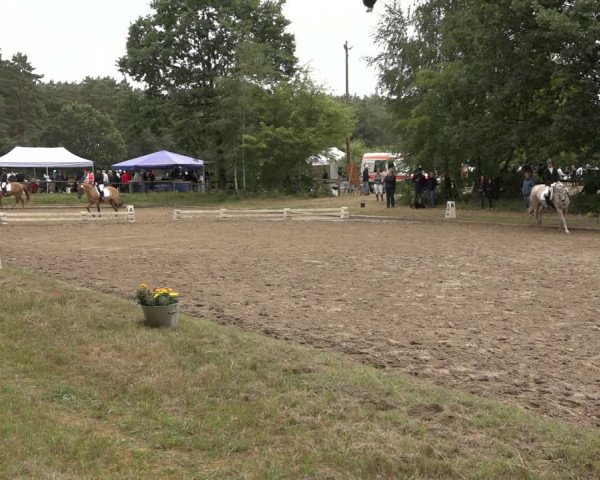 Reitturnier Thönse 2023