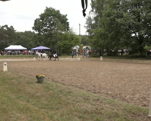 Reitturnier Thönse 2023