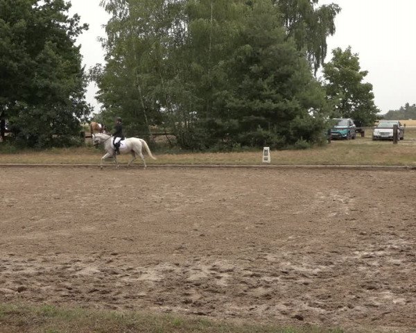 Reitturnier Thönse 2023