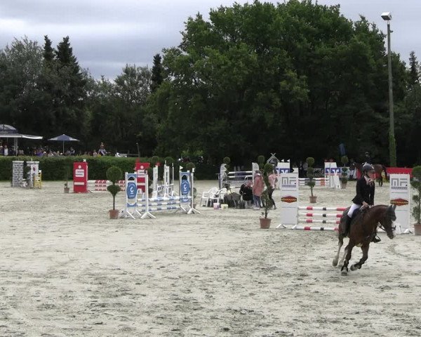 Reitturnier Vlotho-Exter 2023