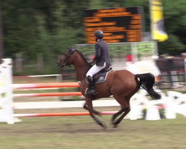 Reitturnier Boock 2023