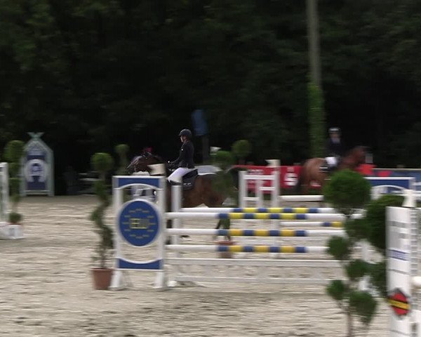 Reitturnier Vlotho-Exter 2023