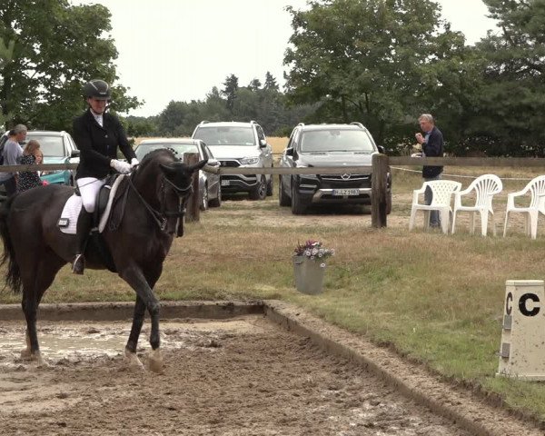 Reitturnier Thönse 2023