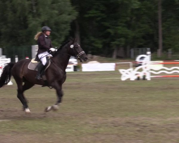 Reitturnier Boock 2023