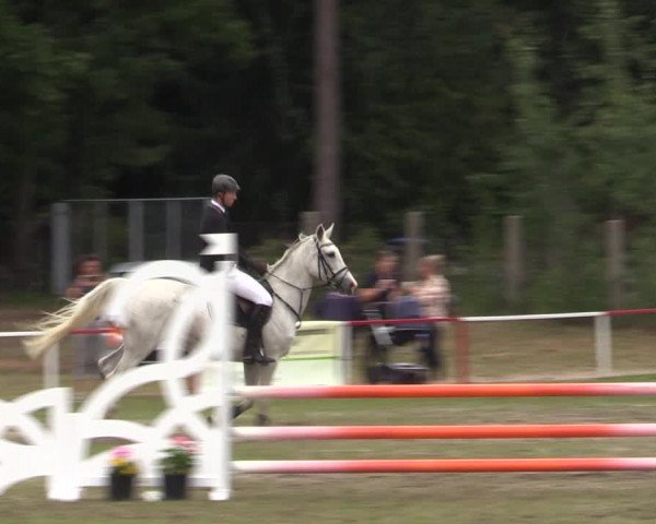 Reitturnier Boock 2023