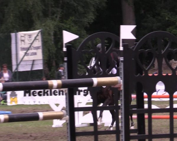 Reitturnier Boock 2023