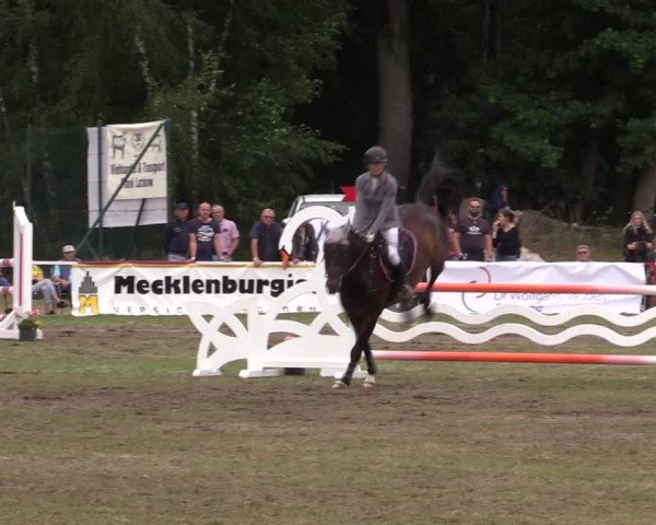 Reitturnier Boock 2023