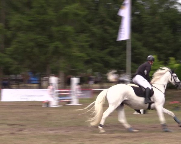 Reitturnier Boock 2023