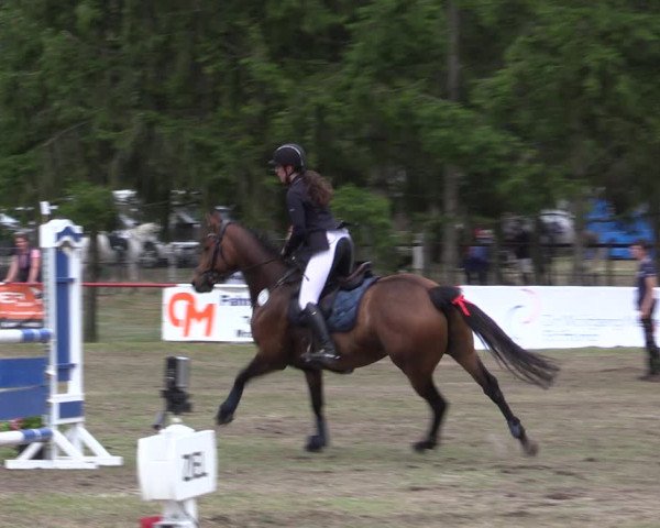 Reitturnier Boock 2023