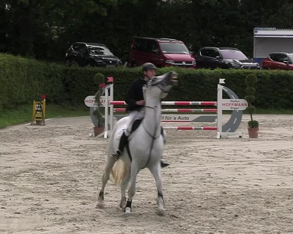 Reitturnier Vlotho-Exter 2023