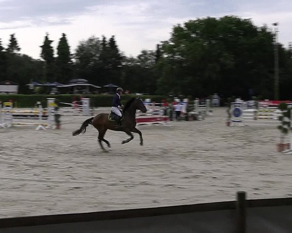 Reitturnier Vlotho-Exter 2023