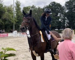 jumper Celestra MJ (Zweibrücken, 2013, from Centurion)