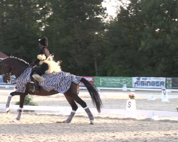 Reitturnier Amstetten 2023