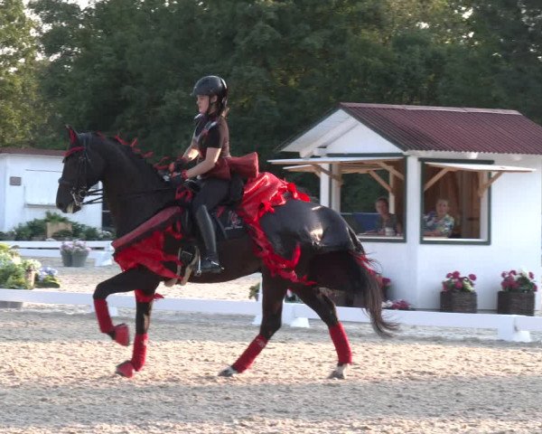 Reitturnier Amstetten 2023