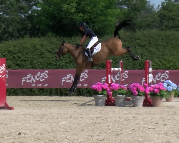 Video von Hold Up des Flagues