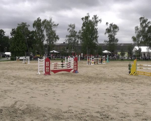 Reitturnier Herbern 2023