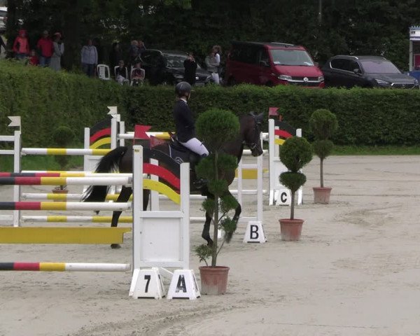 Reitturnier Vlotho-Exter 2023