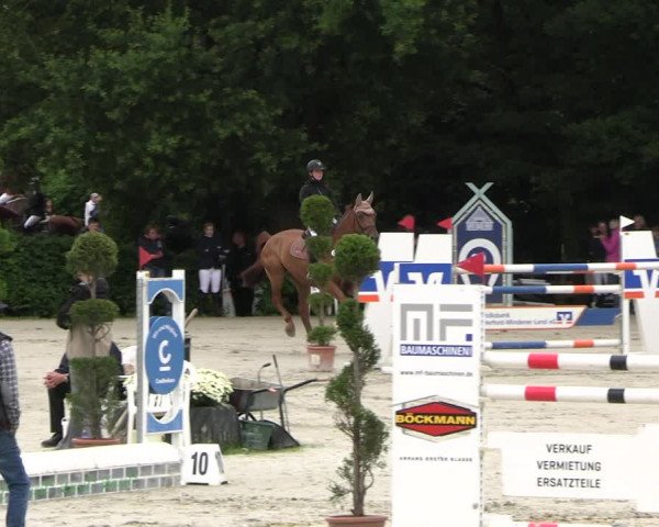 Reitturnier Vlotho-Exter 2023
