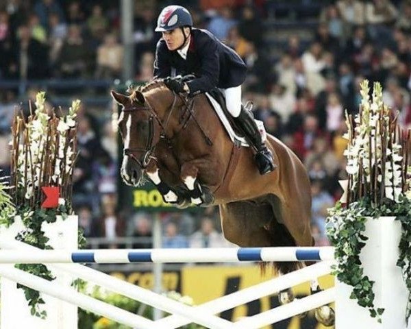 horse Galet d'Auzay (Selle Français, 1994, from Leprince de Thurin)