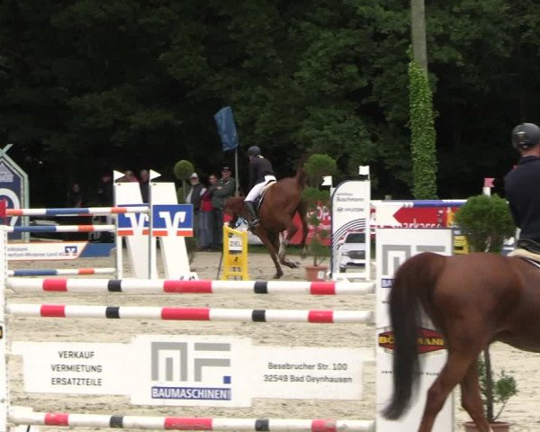 Reitturnier Vlotho-Exter 2023