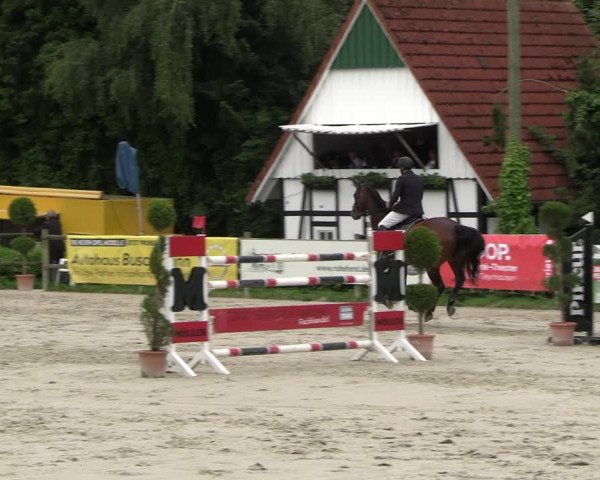 Reitturnier Vlotho-Exter 2023