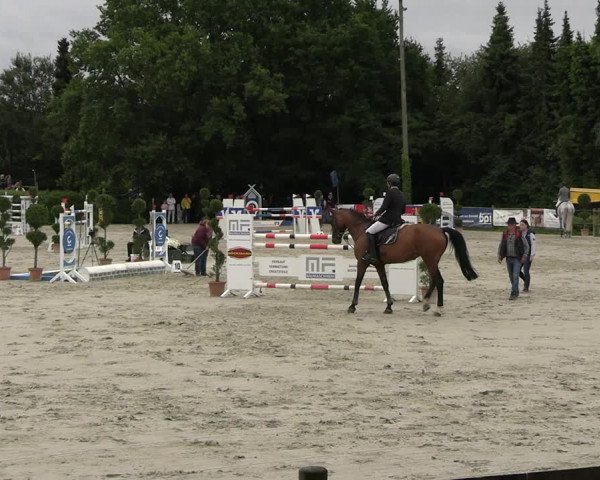 Reitturnier Vlotho-Exter 2023