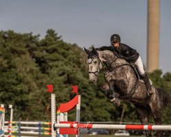 jumper Two Face 5 (Oldenburg show jumper, 2016, from Unbreakable Z)