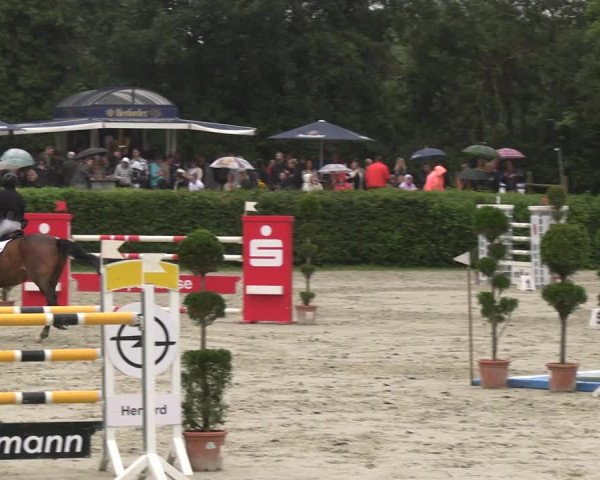 Reitturnier Vlotho-Exter 2023