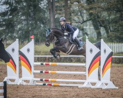 broodmare Solo Tu (Hanoverian, 2012, from Semper Fi)
