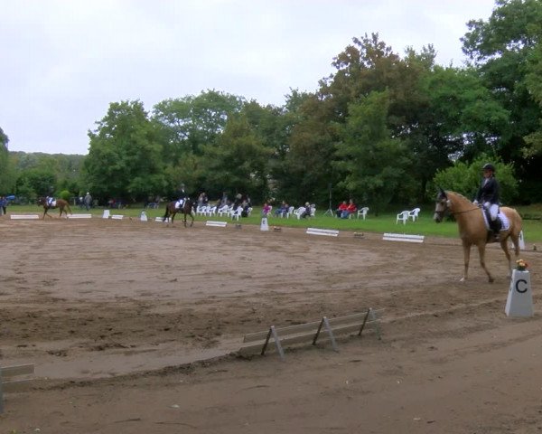 Reitturnier Viersen-Dülken 2023