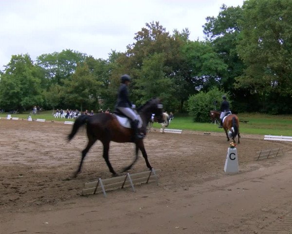 Reitturnier Viersen-Dülken 2023