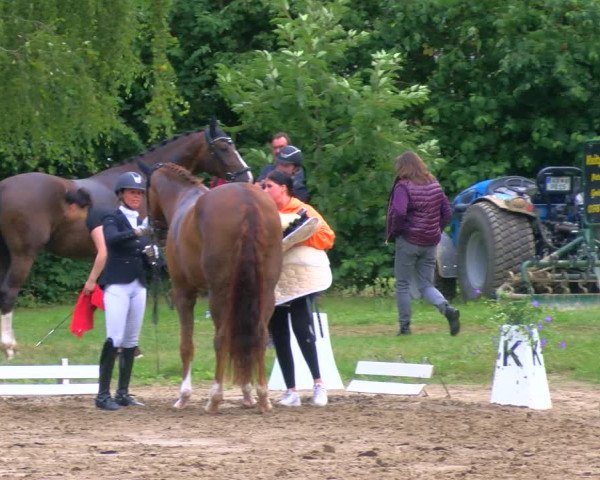 Reitturnier Viersen-Dülken 2023