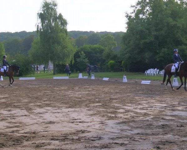 Reitturnier Viersen-Dülken 2023