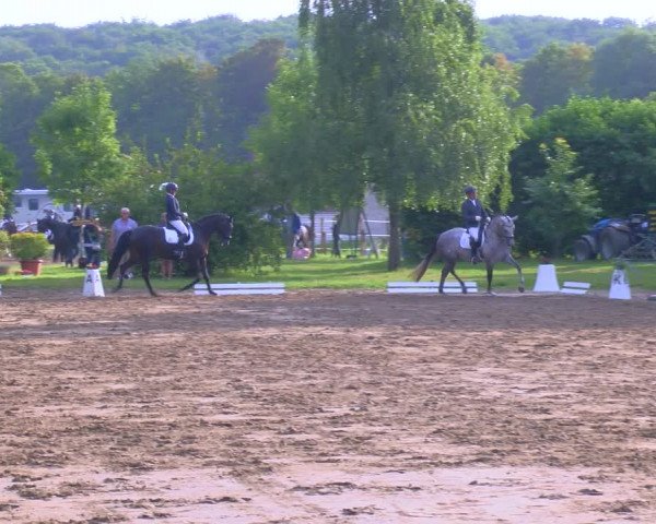 Reitturnier Viersen-Dülken 2023