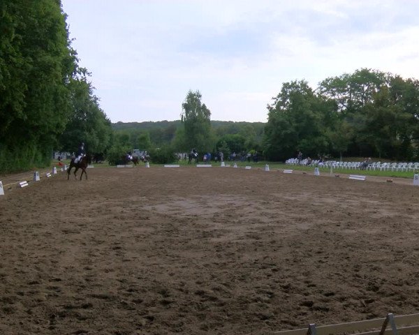 Reitturnier Viersen-Dülken 2023