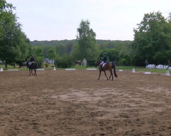 Reitturnier Viersen-Dülken 2023