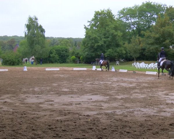Reitturnier Viersen-Dülken 2023