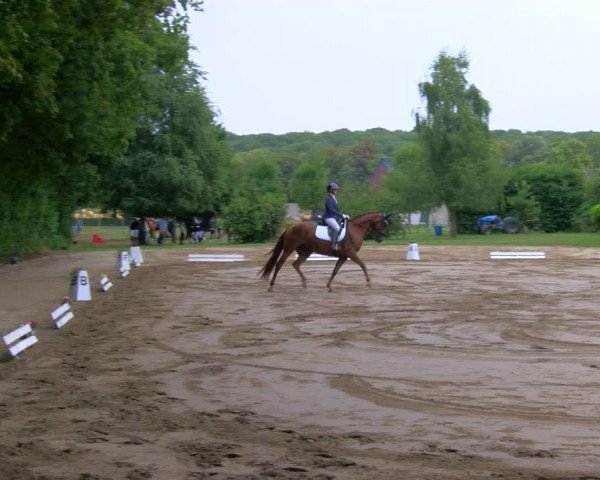 Reitturnier Viersen-Dülken 2023