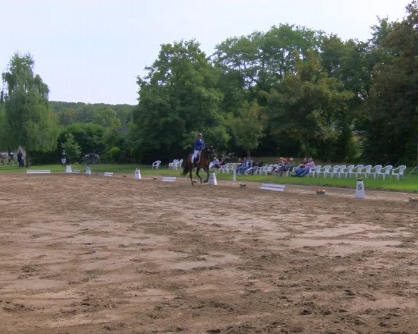 Reitturnier Viersen-Dülken 2023