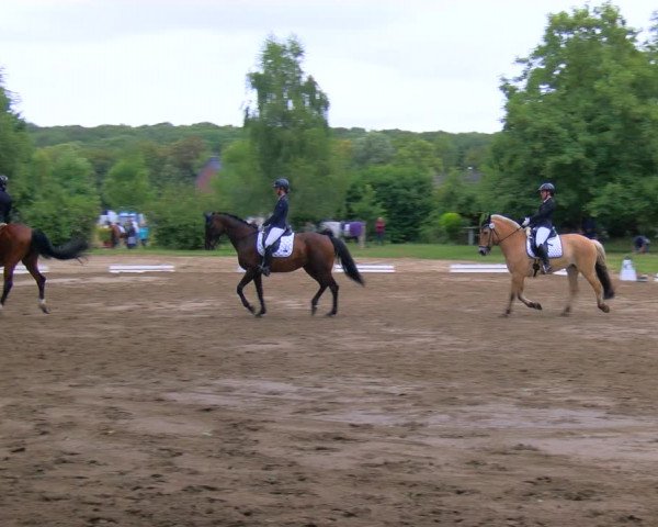 Reitturnier Viersen-Dülken 2023