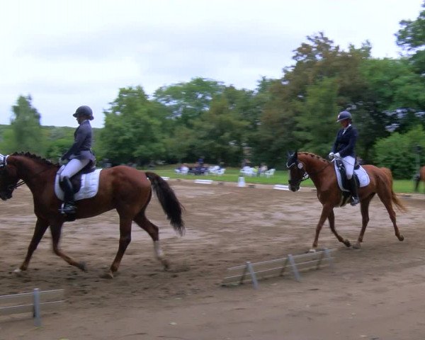 Reitturnier Viersen-Dülken 2023