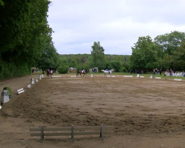 Reitturnier Viersen-Dülken 2023