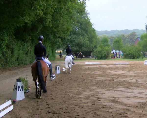 Reitturnier Viersen-Dülken 2023