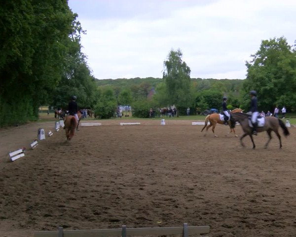 Reitturnier Viersen-Dülken 2023