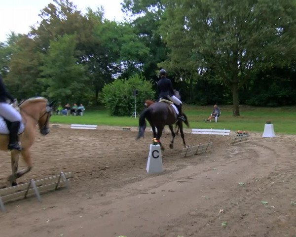 Reitturnier Viersen-Dülken 2023